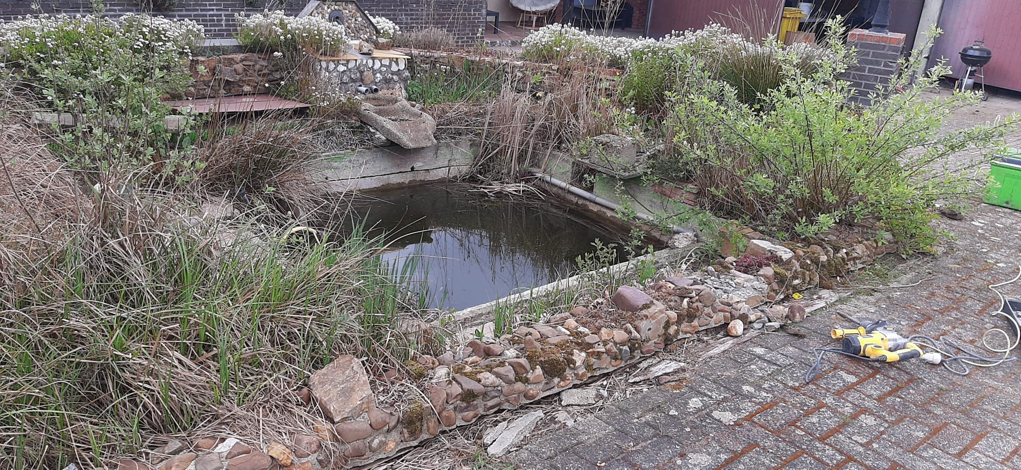 291764184_350314410582214_5639635897091725400_n